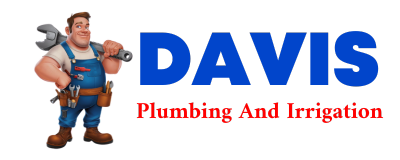 Trusted plumber in RIPPEY